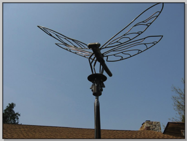 Dragonfly - Biologists, detail Dragonfly - Biologists, detail